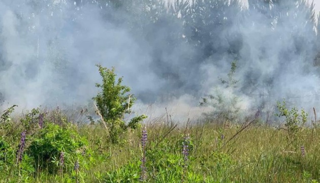 Два російські вертольоти обстріляли прикордоння Сумщини