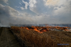 War-related damage to Ukraine's environment exceeds EUR 65B