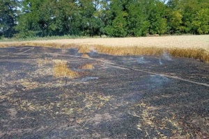 Kirovohrad region’s agricultural enterprises suffer UAH 5.1M in losses from Russian aggression