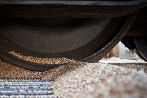 Russia steals about 500,000 t of Ukrainian grain from Zaporizhzhia region