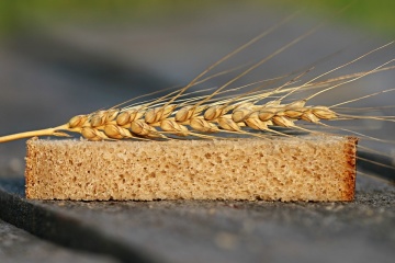 Exportaciones de cereales: Ucrania y Hungría buscan aumentar el número de puestos de control en la frontera