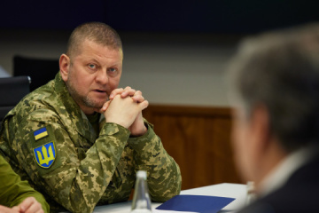Ukraine lässt nicht zu, dass westliche Waffen in die Hände russischer Terroristen gelingen – Oberbefehlshaber Saluschnyj