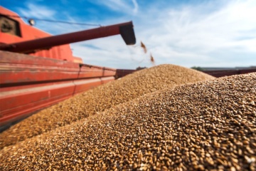 Ukrainian farmers harvest 25.3M tonnes of grain
