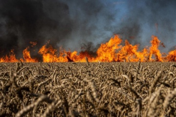 Ukraine loses up to 10M tonnes of potential crops