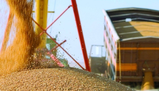 Журналисты «Схем» рассказали, как россия возит краденое украинское зерно в Турцию