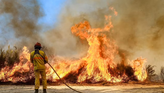 В Португалії та Іспанії вирують лісові пожежі, десятки постраждалих