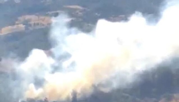 У Туреччині спалахнула нова лісова пожежа