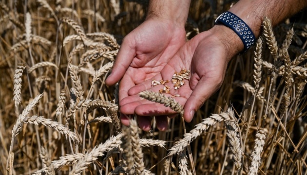 Ukrainische Agrarexporte steigen im Juli um 22 Prozent