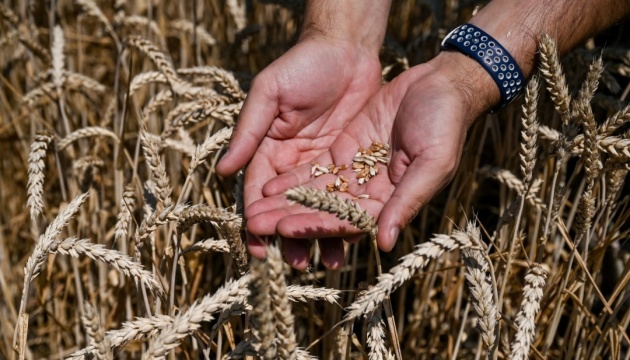 Ukrainian farmers harvest almost 74M t of grains, oilseeds