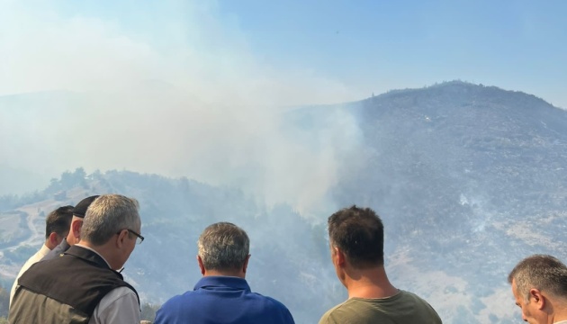 На заході Туреччини нова лісова пожежа