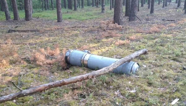 У заповіднику «Древлянський» на Житомирщині від обстрілів вигоріло понад 2 тисячі гектарів