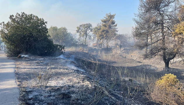 У Греції заарештували двох чоловіків за розпалювання лісових пожеж