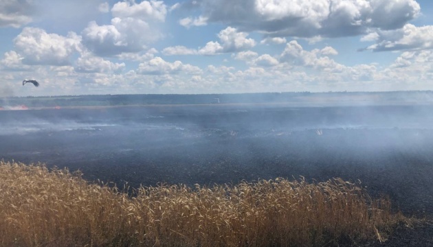 На Харківщині внаслідок ворожого обстрілу загорілися два поля з пшеницею