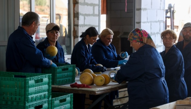 Програма «єРобота» має допомогти українським підприємцям розвиватися – Шмигаль