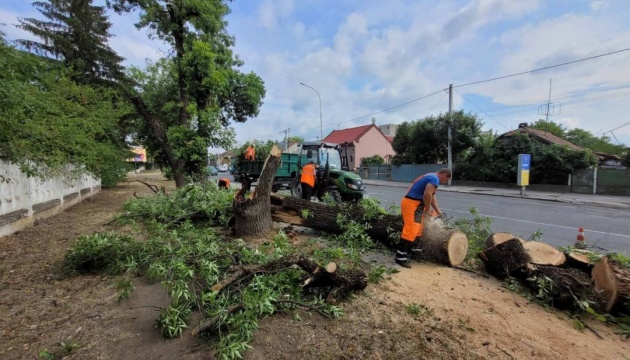 Повалені дерева та пошкоджене освітлення: наслідки буревію в Ужгороді 