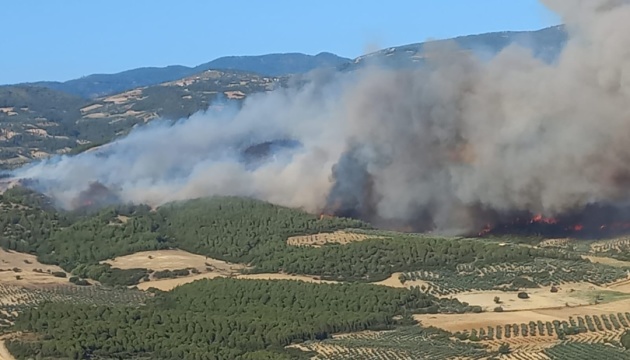 На заході та півдні Туреччини зафіксували нові лісові пожежі