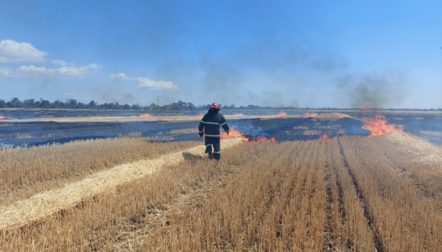 На Миколаївщині в результаті ворожого обстрілу згоріло понад 230 гектарів хліба