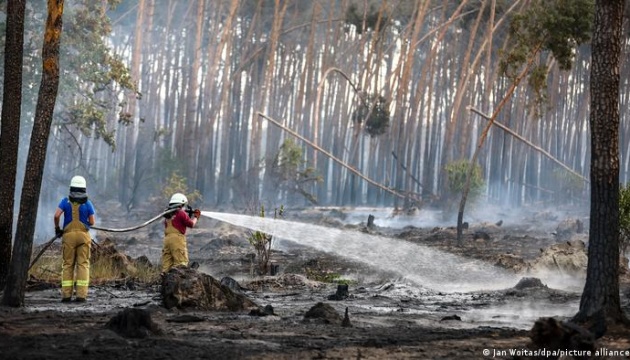 В Германии бушуют лесные пожары