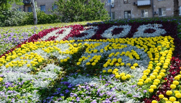 У Києві створили квіткове панно, присвячене полку «Азов»