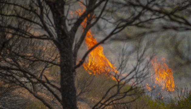 Во Франции снова бушуют лесные пожары