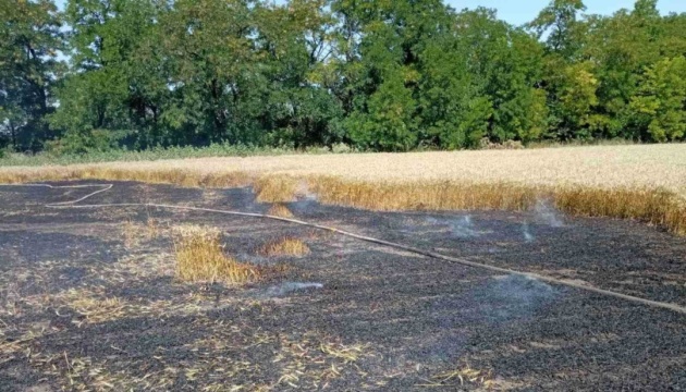 Агресія РФ цьогоріч завдала збитків сільгосппідприємствам Кіровоградщини на ₴5,1 мільйона