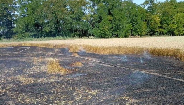 На Донеччині внаслідок обстрілу зайнялася пшениця на площі 4,9 гектарів - пожежу загасили
