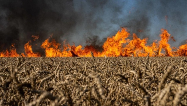 Podolyak shows Ukrainian fields burnt by Russian invaders