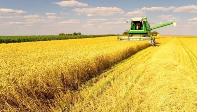 На Житомирщині зменшилася урожайність ранніх зернових