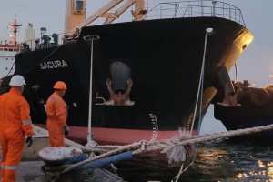 Crise alimentaire : Deux autres navires chargés de céréales ont quitté les ports ukrainiens 