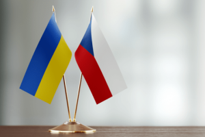 Чехія надає тимчасово переміщеним українцям безоплатну медичну допомогу протягом 150 днів