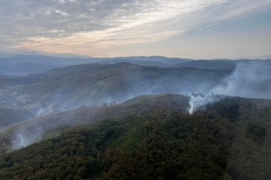 Großer Waldbrand in Transkarpatien: Löschfahrzeuge - und Hubschrauber in Einsatz