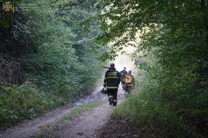 В Закарпатье ликвидировали масштабный лесной пожар