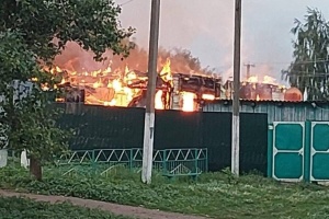 Черговий обстріл Сумщини: загарбники пошкодили два будинки та лінію електропередач