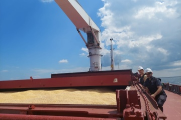 Ukrainian grain export: Razoni ship passes inspection