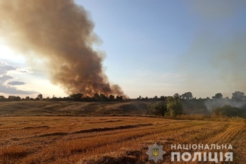 Infolge des Beschusses in Region Saporischschja 70 ha Weizen niedergebrannt