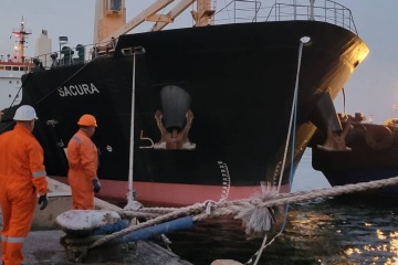 Crise alimentaire : Deux autres navires chargés de céréales ont quitté les ports ukrainiens 