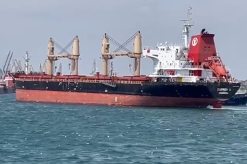 Aus ukrainischen Häfen 12 Schiffe mit Getreide ausgelaufen 