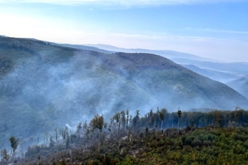 Großer Waldbrand in Transkarpatien: Löschfahrzeuge - und Hubschrauber in Einsatz