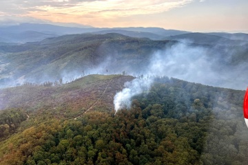 Forest fires ravage Zakarpattia region, planes and helicopters operating