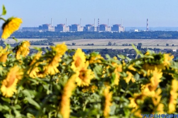Director general del OIEA ha salido de la central nuclear de Zaporiyia, cinco representantes de la misión permanecen