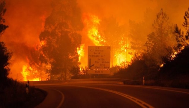 Біля Лісабона вирує масштабна лісова пожежа