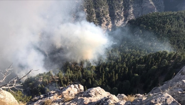 На юге Турции второй день пытаются потушить лесной пожар