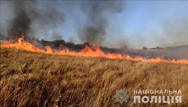 Infolge des Beschusses in Region Saporischschja 70 ha Weizen niedergebrannt
