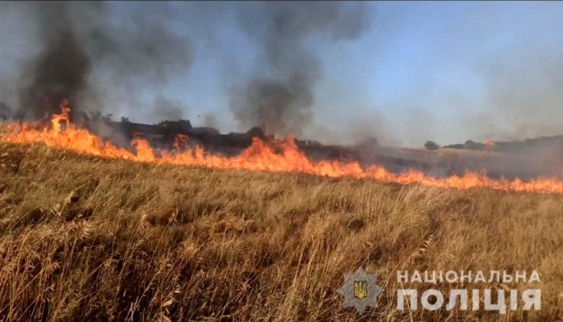 Wheat plantations destroyed in fire caused by Russia’s shelling of Zaporizhzhia Region