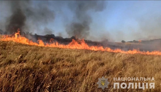 Пшеничные поля уничтожены пожаром, вызванным российскими обстрелами в Запорожской области