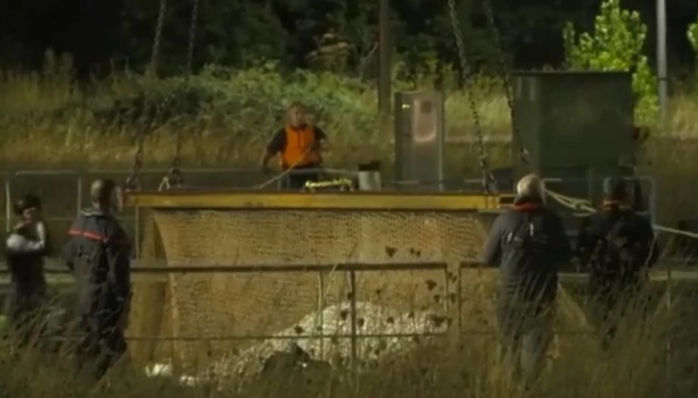 У Франції проводять операцію з порятунку кита, що заплив у Сену