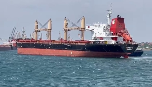 З українських портів вже вийшли 12 суден із зерном - прямують до семи країн