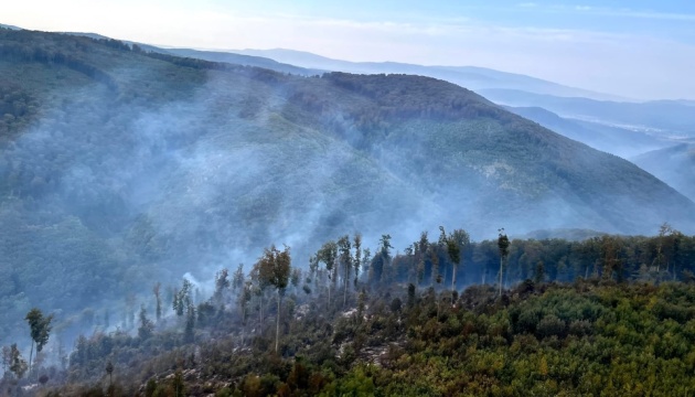 Großer Waldbrand in Transkarpatien: Löschfahrzeuge - und Hubschrauber in Einsatz