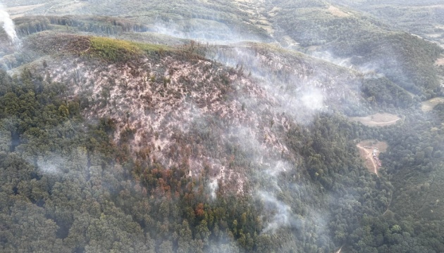На Закарпатті - масштабна лісова пожежа, працюють літаки та вертольоти