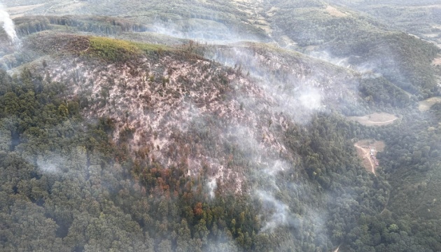 Forest fires ravage Zakarpattia region, planes and helicopters operating